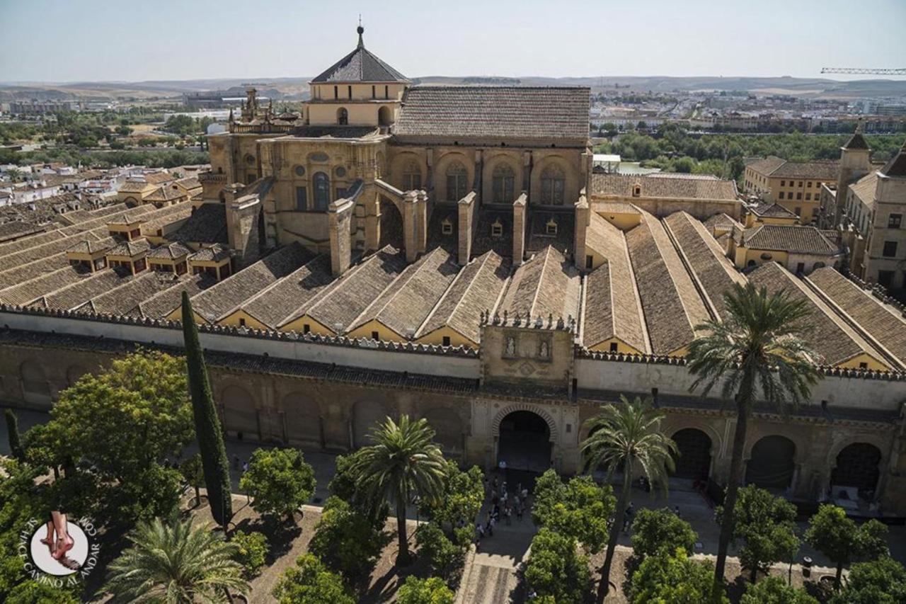 Centrico Jardines De Vallellano * Cordoba